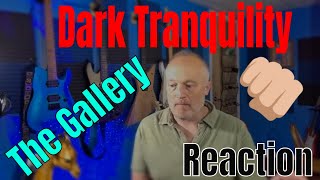 Dark Tranquility - The Gallery (Reaction)