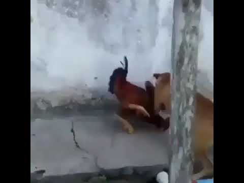 انقلبت الآية