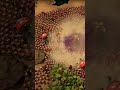 We all wanted RTS games to come back, so we made our own.