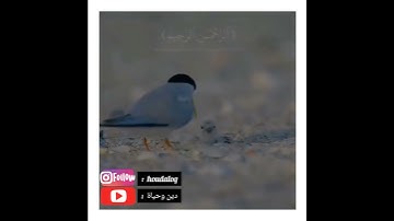 ما تيسر من سورة الفاتحة برواية ورش عن نافع...🤍