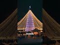 🎄🎁Елки в городах России
