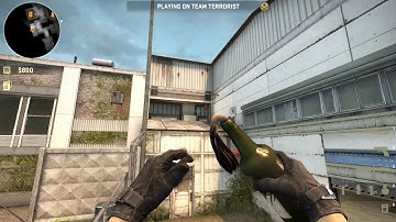 Headshot Molotov From Sunroom (Cache)