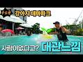 애완견 올인원 테마파크, 주말인데 대관한 느낌?! (가격도 싸고, 여기 진짜 찐이네..)