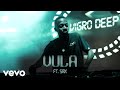 Vigro deep  vula visualizer ft sax