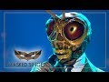 Skyfall - Adele | Grashüpfer Performance | The Masked Singer | ProSieben