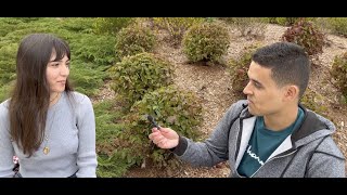 Can You Escape The Friend Zone? Public Interview