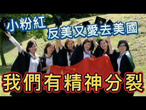 中國廢青爆笑人格分裂？憎恨美國又想拿綠卡，小粉紅留美日常脫序行為！活該被美國拒簽