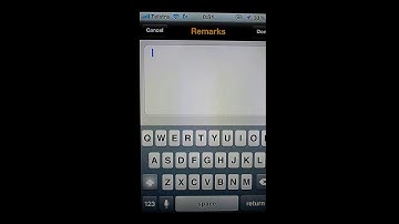 The SAP Business One Mobile Application for the iPhone