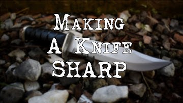 Sharpens Best Knife Sharpener Review
