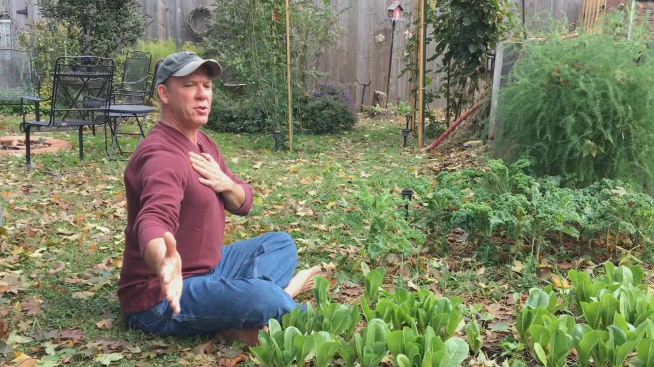 How To Stretch Your Chest And Reverse Your Biological Age YouTube