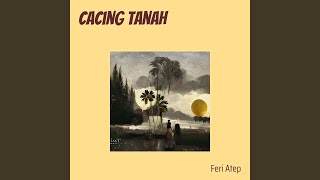 Cacing Tanah