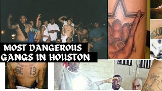 Famous The Most Dangerous Gangs in Houston, Texas Net Worth