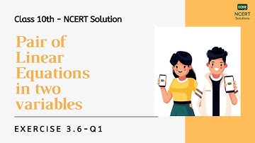 Ex.3.6 Q1 Pair of Linear Equations in Two Variables- NCERT Mathematics Class 10 | English