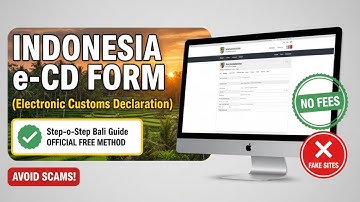 How To Fill Out Indonesia (Bali) Arrival Card (Full Guide)! 🇮🇩