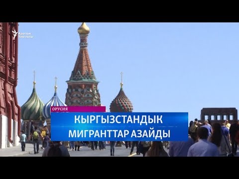 Video: Мусанын мүйүзү, 