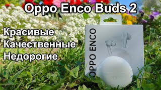 Oppo Enco Buds 2 - обзор доступных наушников с отличной автономностью