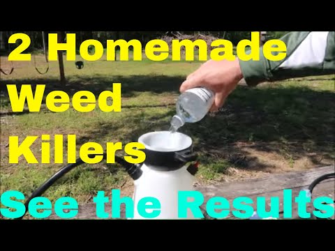 DIY Homemade Weed Killer Recipes hqdefault