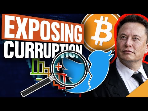 REAL Reason Behind Elon's Twitter Acquisition (Exposing SEC Corruption)