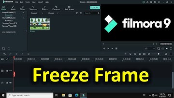 How to Add Freeze Frame to Video In Filmora