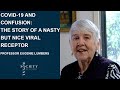 "COVID-19 and confusion: the story of a nasty but nice viral receptor"