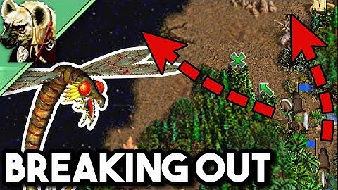 Breaking into the Danger Zone! - Heroes 3: Strife in the Woods (Part 2)