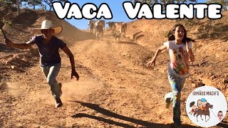 Tocando Uma Vaca Muito Valente - Irmãos Machs