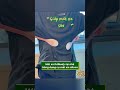 MUA Ở ĐÂY: https://vt.tiktok.com/ZS9eaaXhdjD5L-209LG/