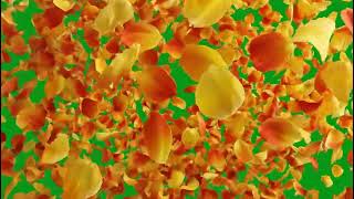 Intense Green Screen Flower Petals Blast VFX for Dramatic Scenes
