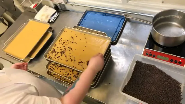 Chocolate Chip Cookies!