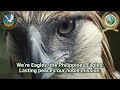 Eagles Hymn Instrumental SAPEC