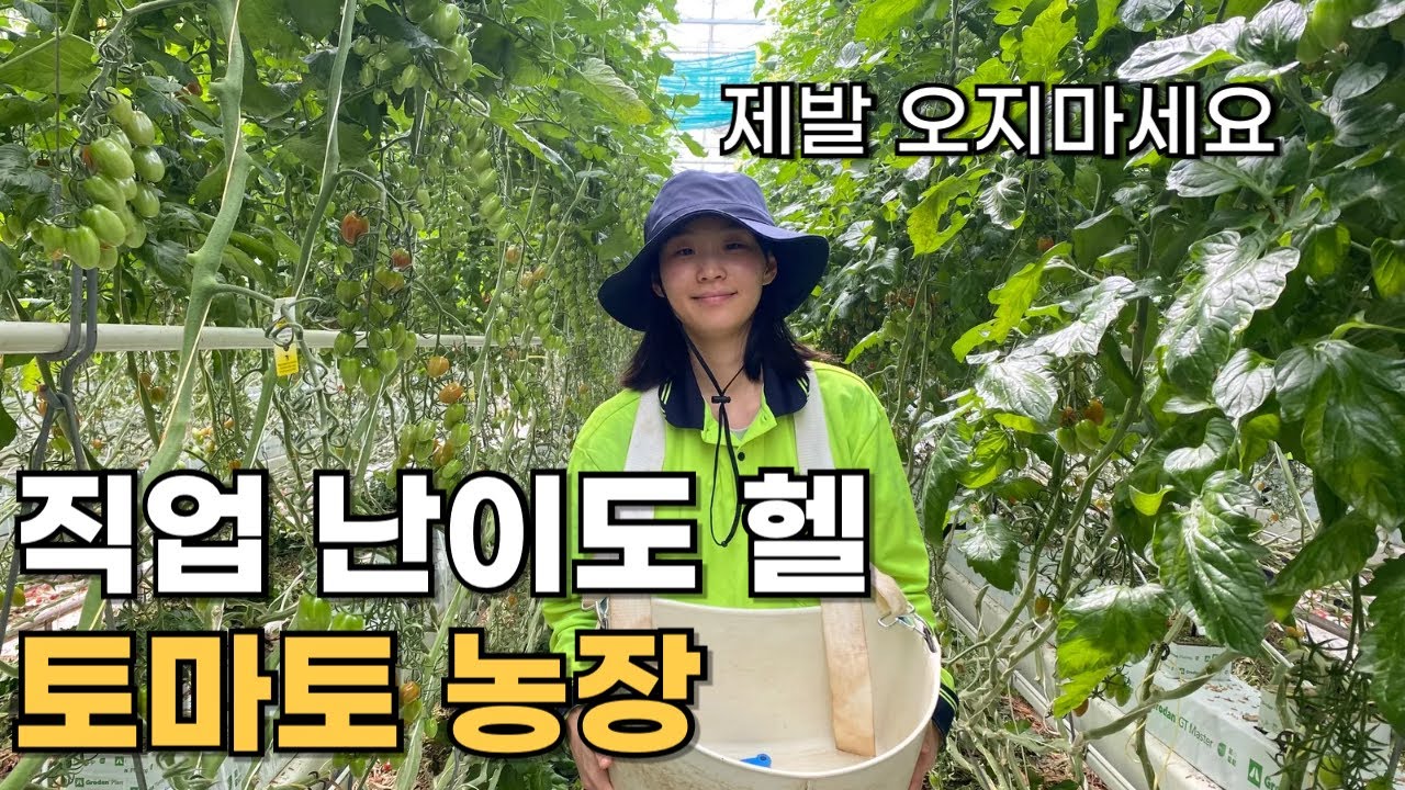 세컨 가능한 농장 여름에는 절대 하지마세요_[🇦🇺호주워홀2-09]