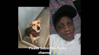 He Looks So Happy After Being Adopted