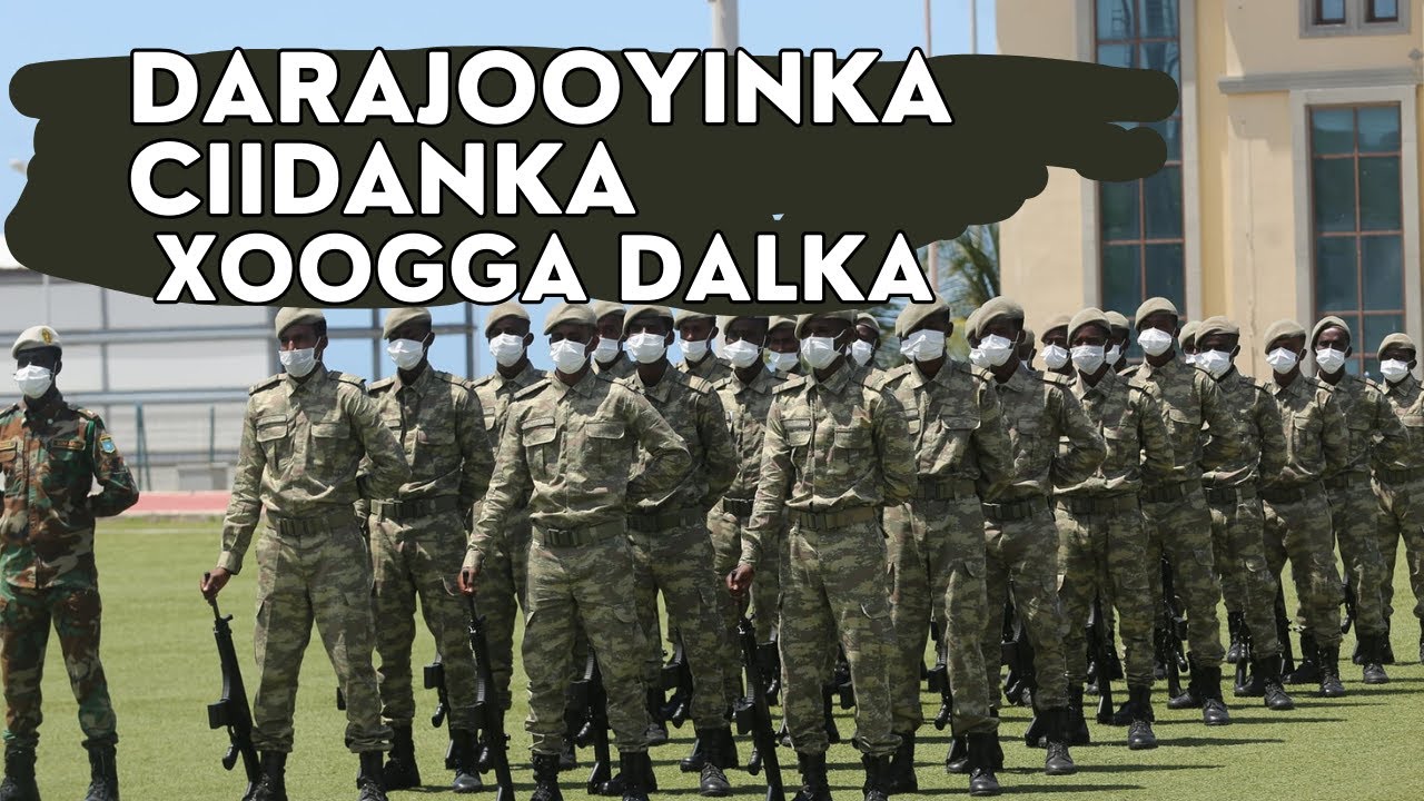 Ereybixinta Ciidanka Xoogga | Darajooyinka CXD