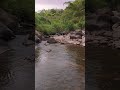Nature’s Zen: Flowing Water Over Rocks