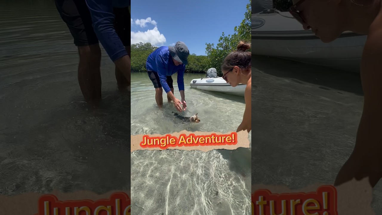 Jungle Adventure, with new gear from our friends at Mantus Marine #sailingbyefelicia #mantusmarine