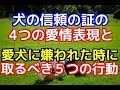 【愛犬のための知識】愛犬がアナタを信頼している時の4つの愛情表現と、愛犬に嫌われた時に飼い主が取るべき５つの行動【犬を知る】