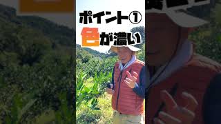 もっともっと