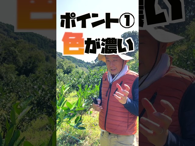 もっともっとL3C