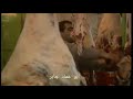 مدينة  #الخليل عام ١٩٩٦ فيديو قديم