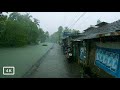 Calm your mind with the sound of heavy rain falling on umbrella  4 hours  rain walk compilation 3