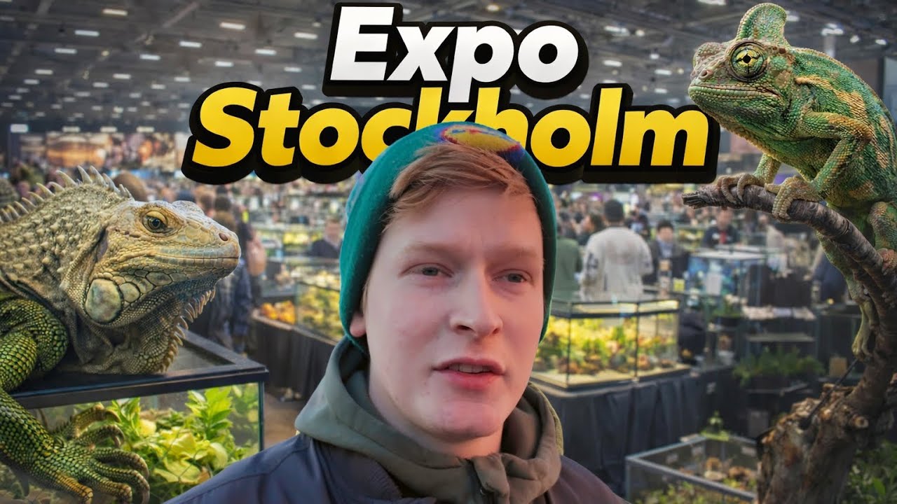 Reptilmässa Expo Stockholm 31jan 