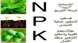 سماد NPK للنبات مقوى ومغذى ومحفز للنمو . Plant nutritious and fortified fertilizer