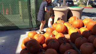 October 18, 2014 | Some people go to a pumpkin patch. We go