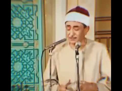 سال دمعي يا إلهي ولولا غربتي ما كان دمعي يسيل