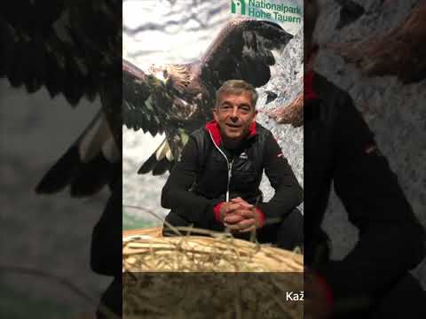 Video: Návštěvnický průvodce národním akváriem v B altimoru