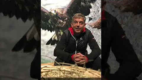 Co je Olympijský národní park?