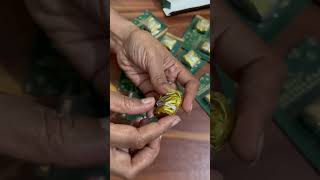 Unpacking Ready To Eat Pan. The Betel Leaf Co. Arid Sada Paan 6 G 12 Pcs