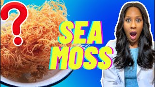 SHOULD YOU TAKE SEA MOSS? WHO SHOULDN’T TAKE SEA MOSS? A DOCTOR REVEALS What You Should Know!