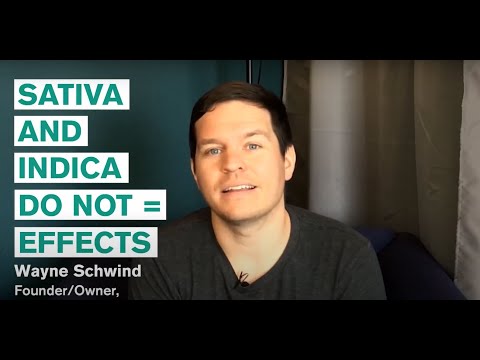 The Truth about Sativa vs Indica: What's the Difference?