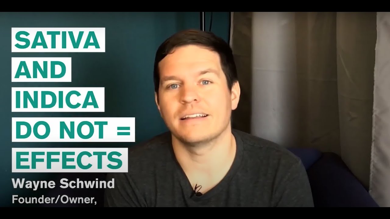 The Truth about Sativa vs Indica: What's the Difference?